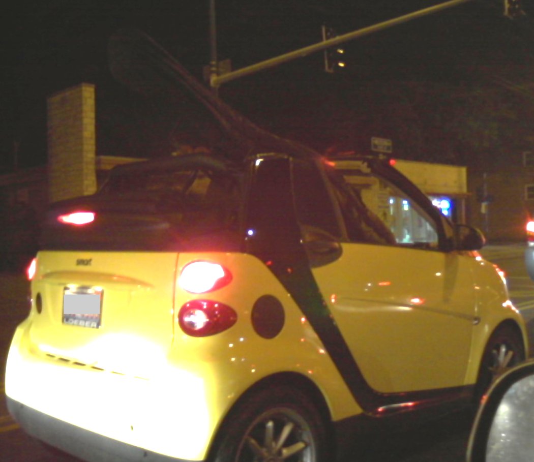 Smart Car with Upright Bass